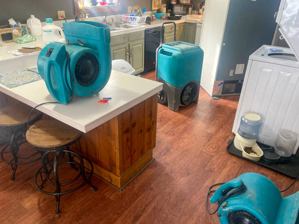 Best Water damage restoration near me  in Galt, CA