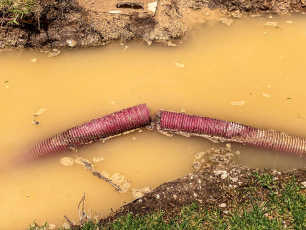 Best Mold removal after water damage  in Galt, CA