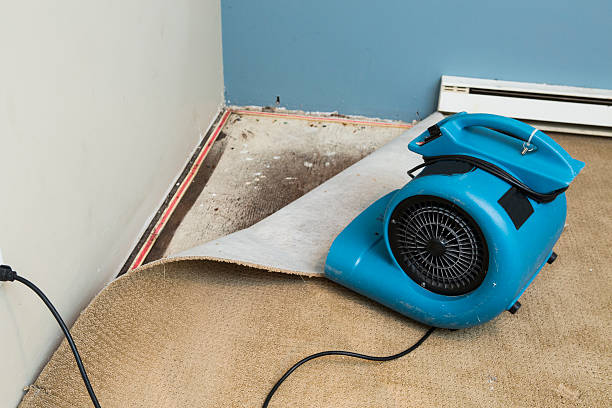 Best Flooded house restoration  in Galt, CA